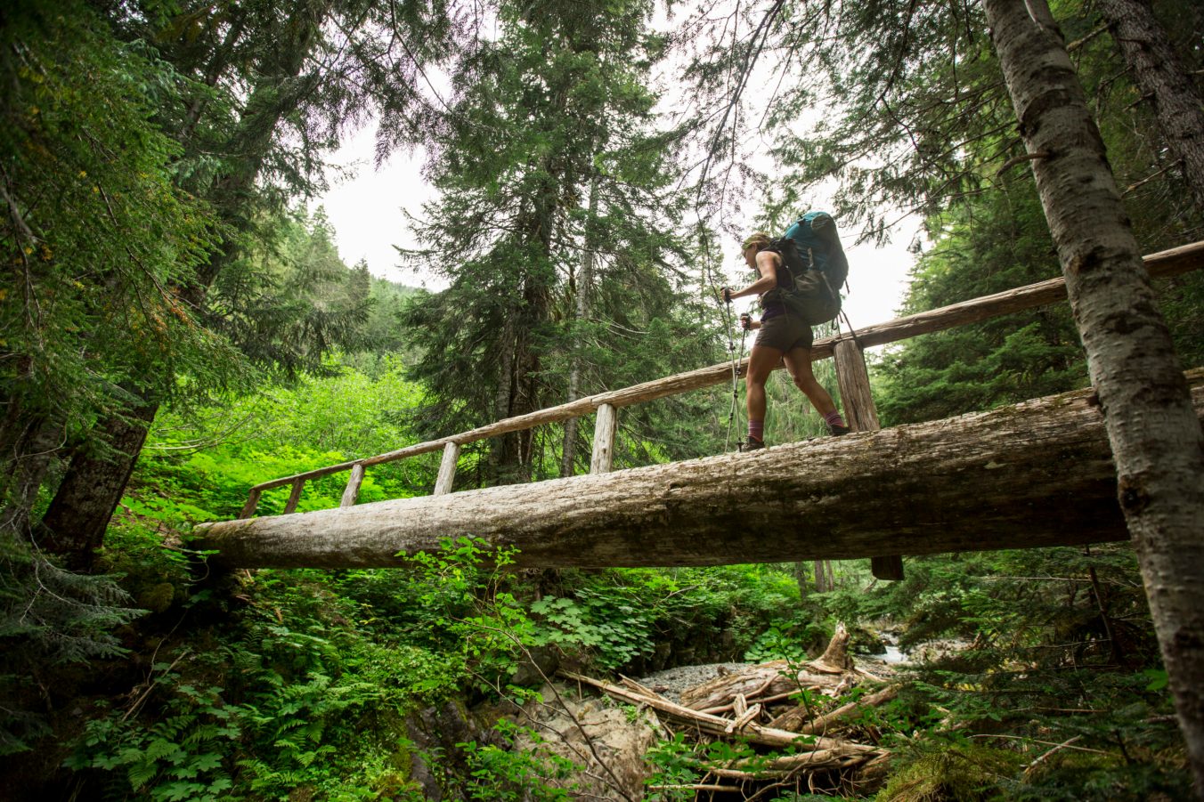 A woman crosses a bridge through a fern covered forest while backpacking through Olympic National Park.